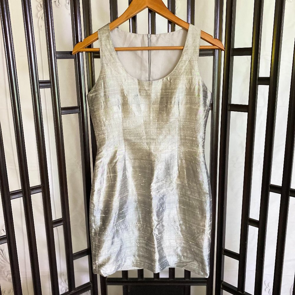 Custom Raw Silk Silver Dress 4